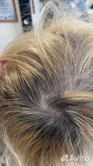 Обучение по курсу парикмахер