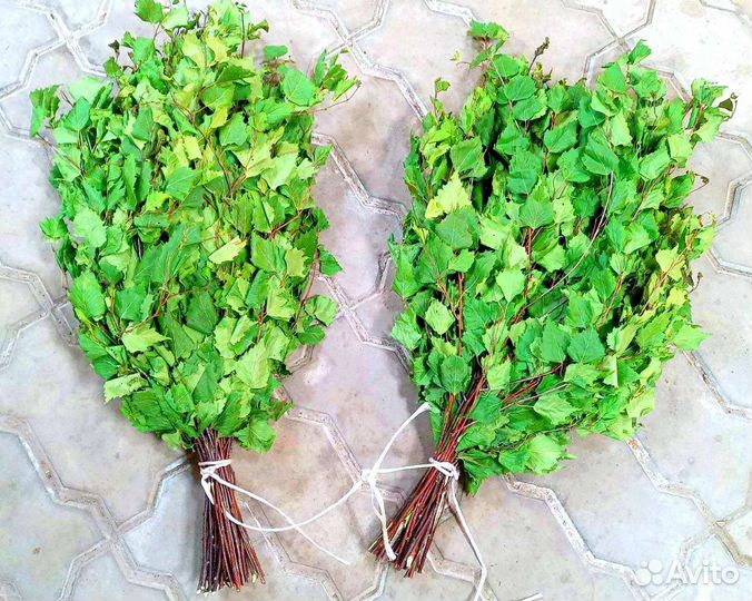 Свежайшие берёзовые банные веники