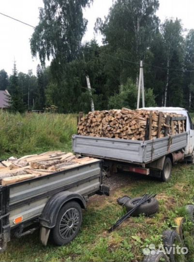 Дрова колотые дуб