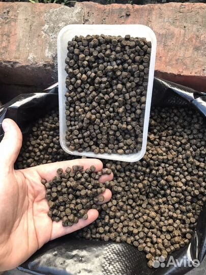 Пеллетс карповый
