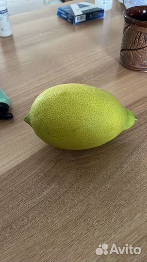 Лимон каррубару