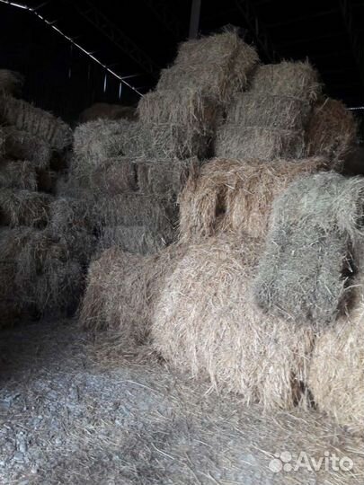 Продам сено в рулонах