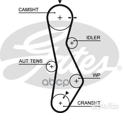 5579XS Ремень грм hyundai tucson/santa FE 2.0 D