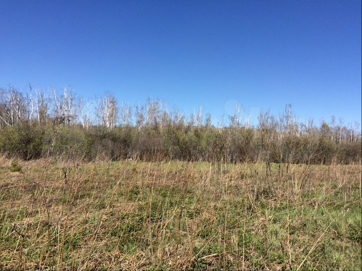 Участок 15 сот. (ИЖС)