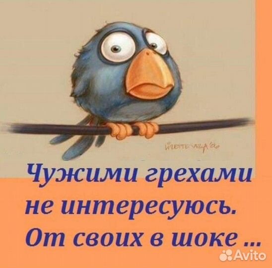 Канара и канарейки