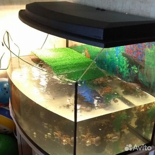 Террариумы для взрослых черепах