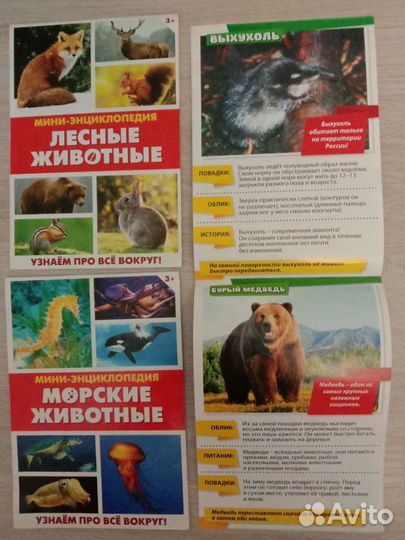 Книжки развивающие