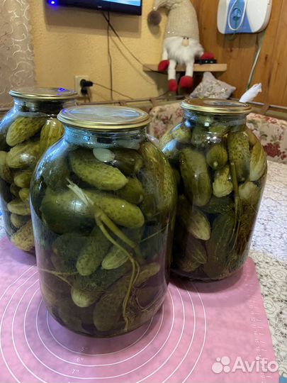 Помидор
