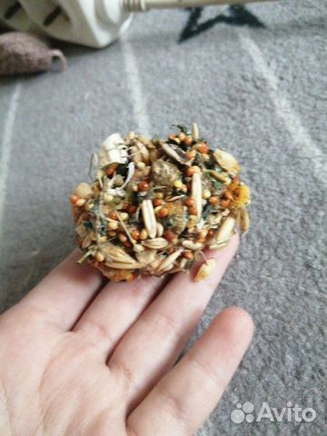 Лакомство для грызунов