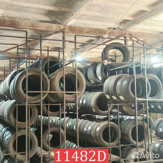 Zeta Antarctica Ice 205/55 R16 92S