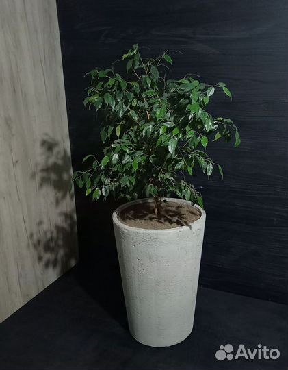 Вазон для цветов на 80 литров, авито доставка 19