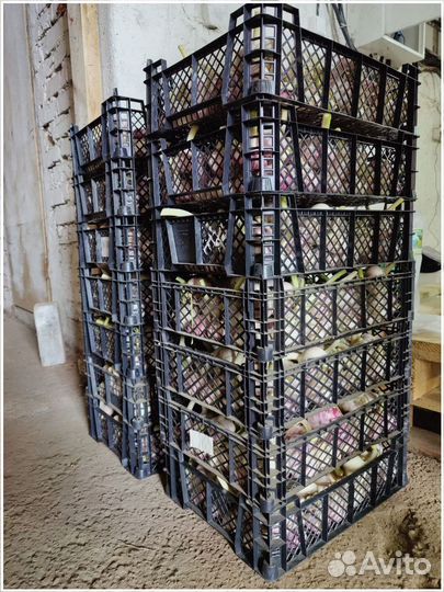 Готовый бизнес с доходностью до 50% годовых