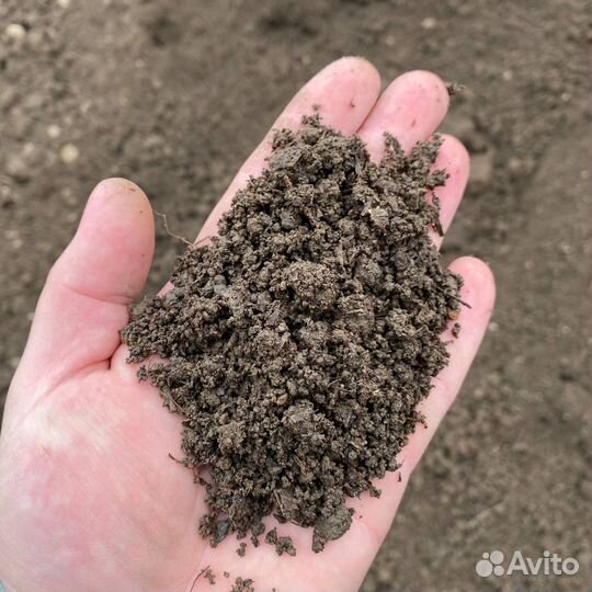 Чернозём, грунт, торфосмесь, перегнной с доставкой