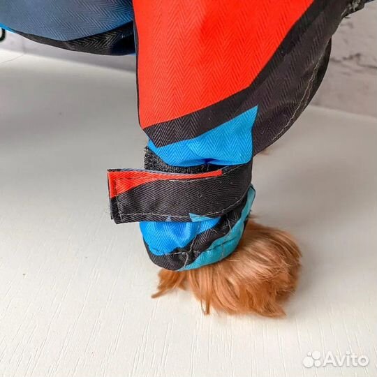 Зимний комбинезон для собаки