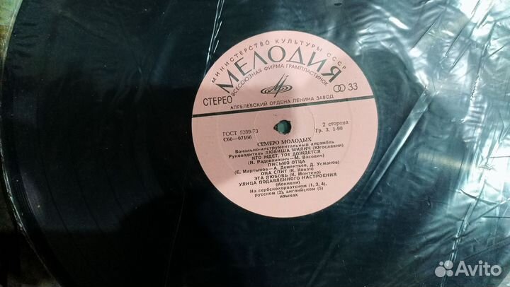 Виниловые пластинки