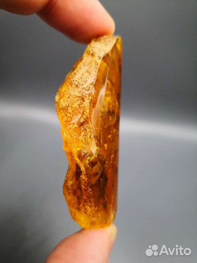 Янтарь с инклюзами, Калининград