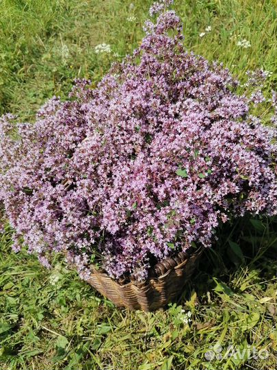 Для интерьера