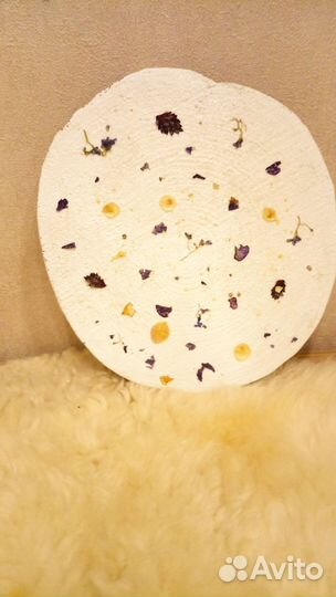 Спил из дерева