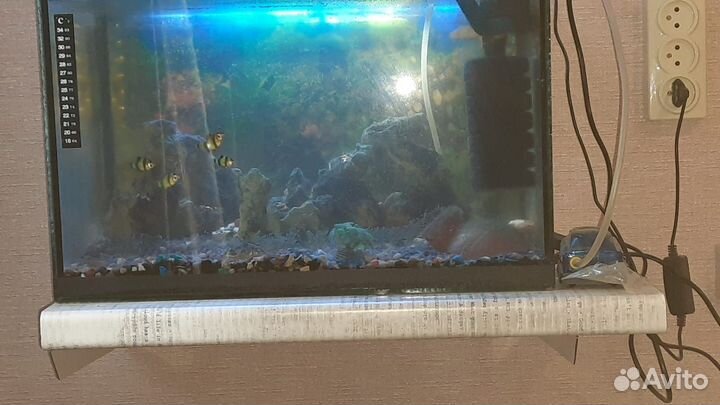 Аквариум с рыбками