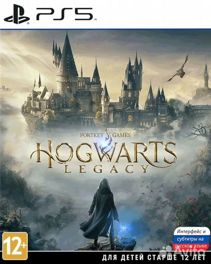 Hogwarts Legacy: Deluxe Edition (PS4 & PS5)
