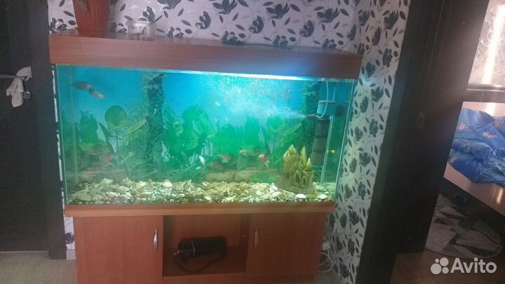 Аквариум с тумбой 400 литров