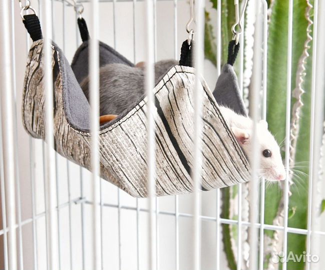 Гамак для крыс