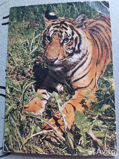 Фотоальбом СССР