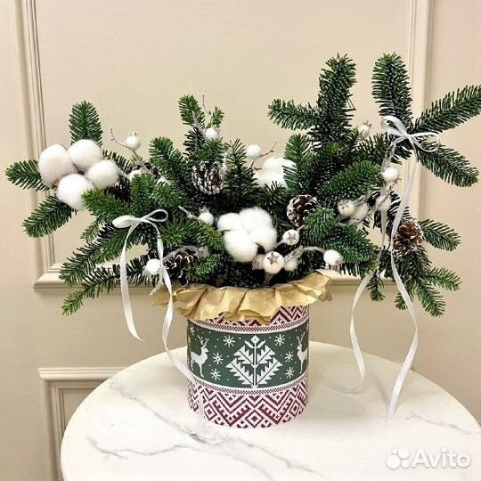 Композиции с Нобилисом