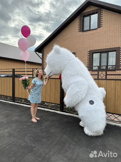 Белый мишка на праздник