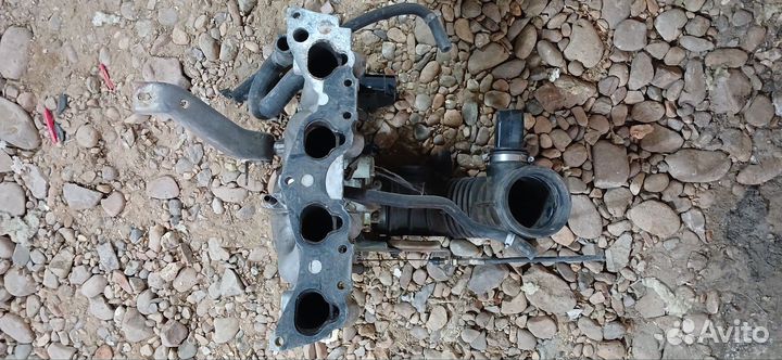 Впускной коллектор хонда hr-v