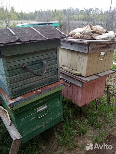 Б/у улья и рамки для пчел