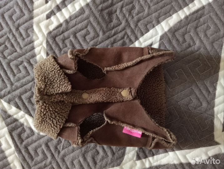 Вещи на маленькую собачку