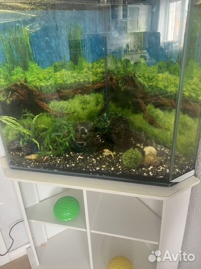 Аквариум с тумбой