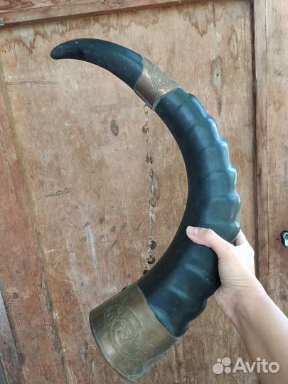 Рог изобилия