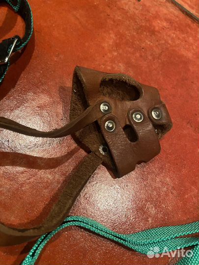 Ошейник, поводок, шлейка, намордник