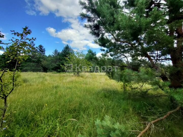 Участок 9 га (СНТ, ДНП)