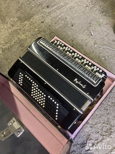 Баян рубин 6