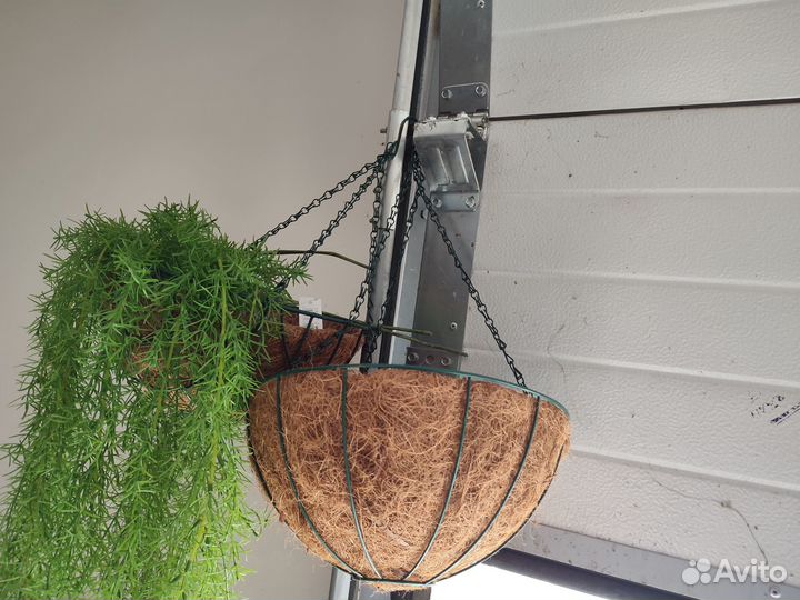 Кашпо подвесное