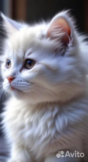 Нейро иллюстратор