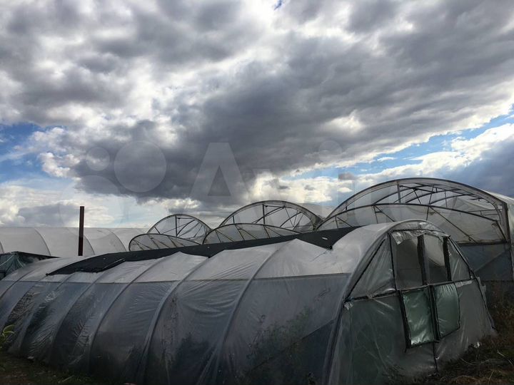 Участок 54,4 сот. (личное подсобное хозяйство (лпх))