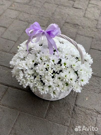 Пушистая хризантема в корзине