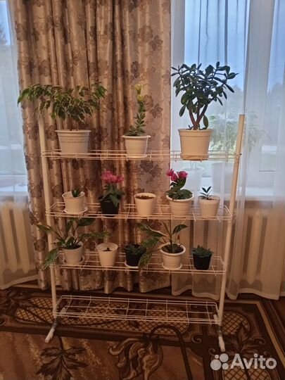 Подставка для рассады и цветов на подоконник