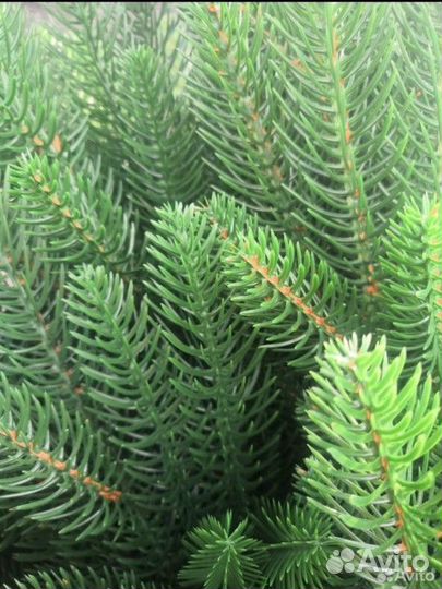 Елка новогодняя литая