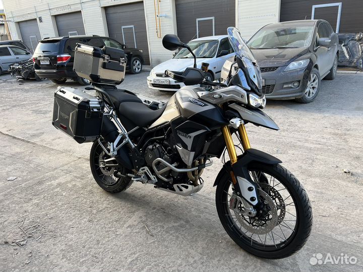 Triumph Tiger 900 Rally Pro 2023 год