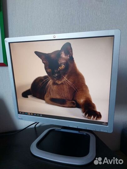 Монитор HP L1950 19''