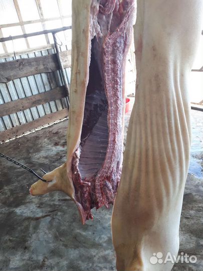 Мясо свинины домашнее