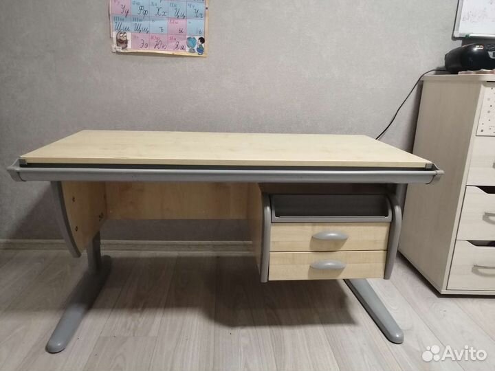 Растущая парта и стул дэми бу