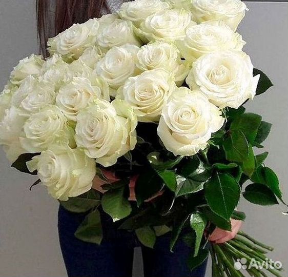 Букет роз 101 роза 51 роза