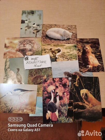 Открытки СССР