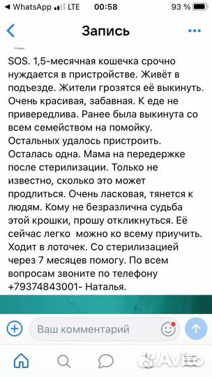 Помогите найти дом брошенным щенкам и котятам